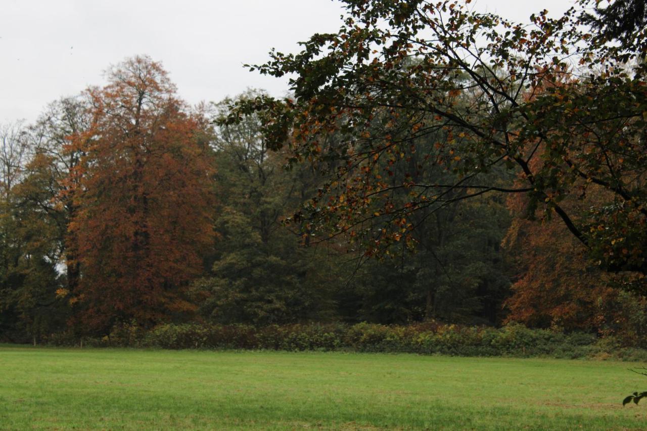 Vila Voel je thuis Zwolle  Exteriér fotografie