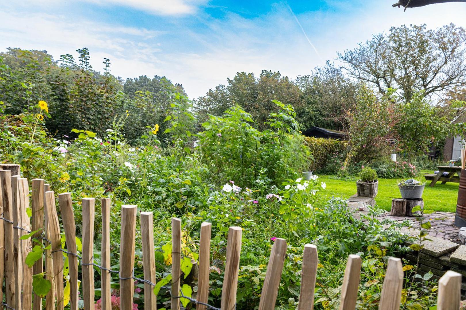 Vila Voel je thuis Zwolle  Exteriér fotografie