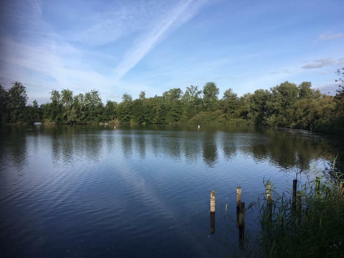 Vila Voel je thuis Zwolle  Exteriér fotografie