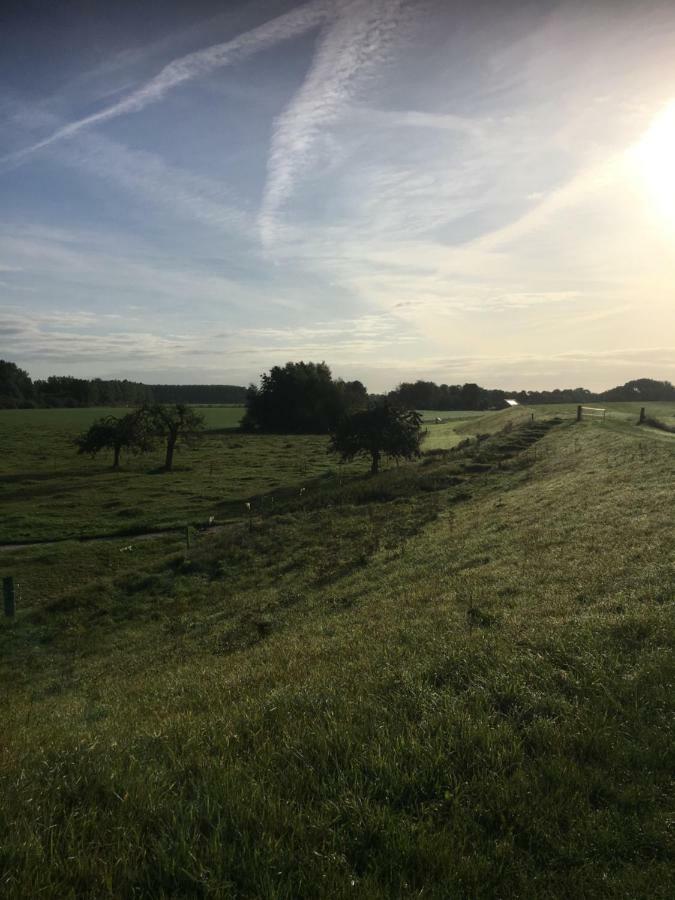 Vila Voel je thuis Zwolle  Exteriér fotografie