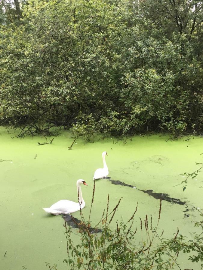 Voel je thuis Zwolle  Exteriér fotografie