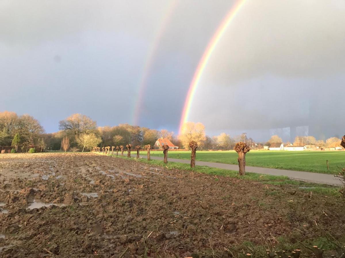 Vila Voel je thuis Zwolle  Exteriér fotografie